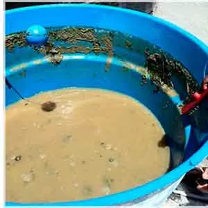 Oferecemos Lavagem de piso em São José da Lapa